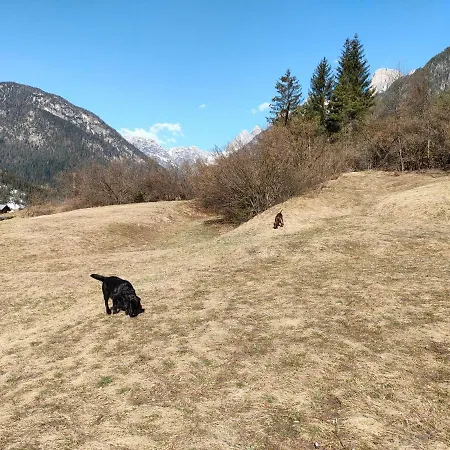 Fronte Piste